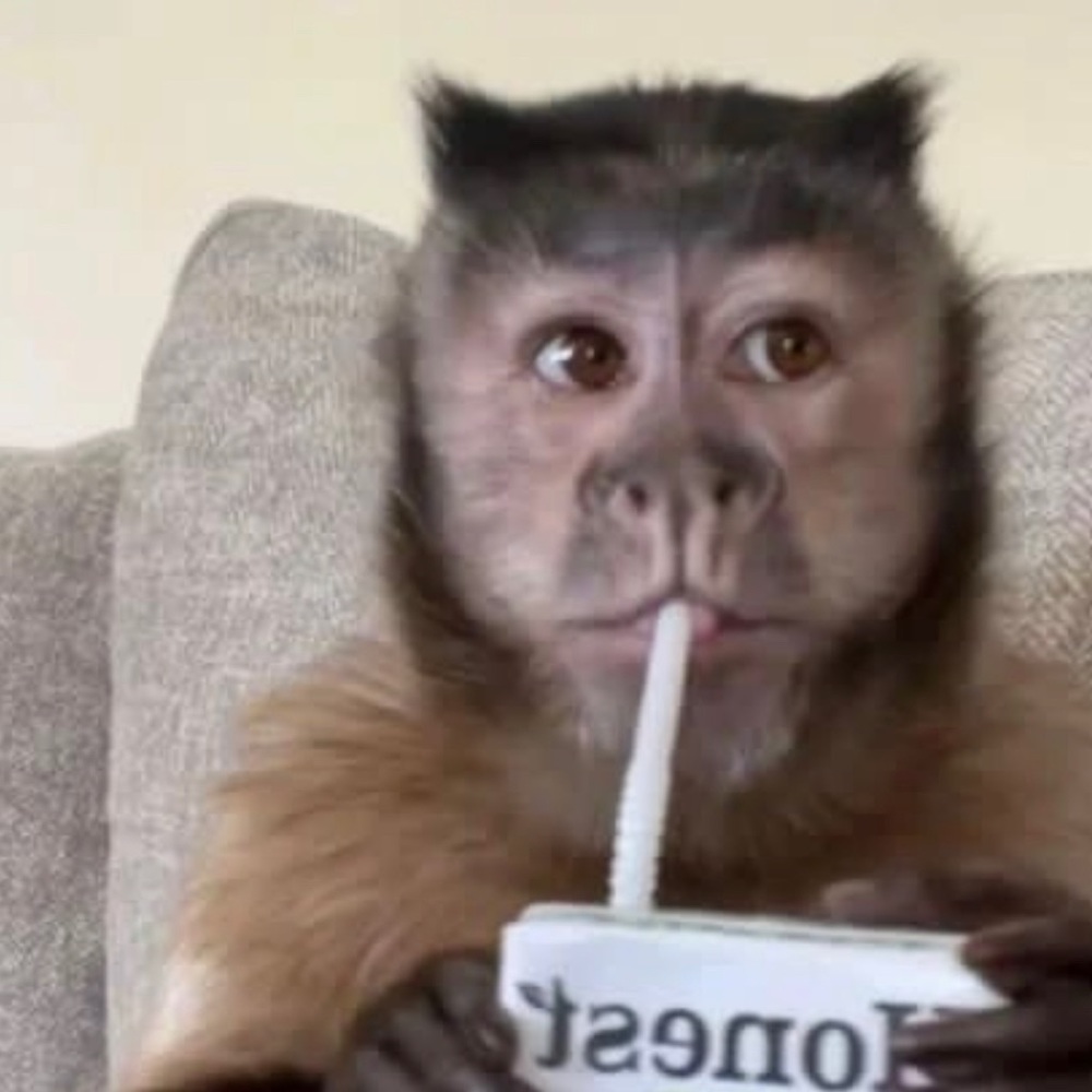 Meet your Posher, Liam